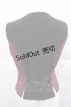 画像2: metamorphose / Dim Lightベスト  ボルドー I-25-12-09-025-ME-TO-SA-ZI