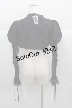 画像2: MORY HITOMI（海外ロリータブランド） / 薔薇ジャガード&袖シースルーボレロ M 黒 I-25-12-13-042-LO-TO-SA-ZI