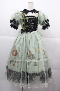 画像1: Reddit(海外ロリータブランド) / Dollフラワー柄半袖ワンピースセット S 緑ｘ黒 I-25-12-13-110-LO-OP-SA-ZI