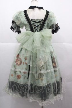 画像2: Reddit(海外ロリータブランド) / Dollフラワー柄半袖ワンピースセット S 緑ｘ黒 I-25-12-13-110-LO-OP-SA-ZI