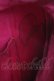 画像12: MILK / 40thハートバッグ  ラベンダー I-26-01-06-104-ML-BG-SA-ZI (12)