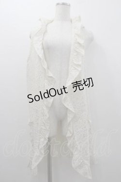 画像1: INGEBORG / 総レースロングジレ 11号 アイボリー I-26-01-10-098-LO-TO-SA-ZI