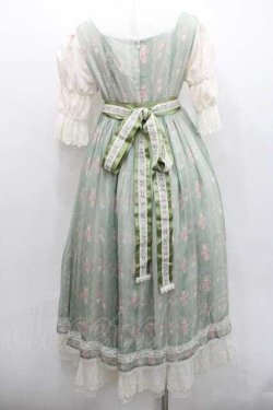 画像2: Miss Point / 薔薇プリントチュール重ね半袖ワンピース S グリーンＸアイボリー I-26-01-13-056-0-OP-SA-ZI