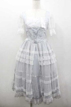 画像1: 来信与詩 / 縦薔薇刺繍ドットチュール重ね半袖ワンピース M サックスＸ白 I-26-01-13-035-0-OP-SA-ZI