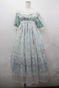 Angelic Pretty / Botanical Gardenワンピース  ミント I-26-01-15-037-AP-OP-SA-ZI