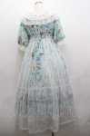 画像3: Angelic Pretty / Botanical Gardenワンピース  ミント I-26-01-15-037-AP-OP-SA-ZI (3)