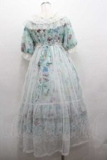 画像3: Angelic Pretty / Botanical Gardenワンピース  ミント I-26-01-15-037-AP-OP-SA-ZI (3)