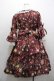 画像3: axes femme kawaii / アンティークローズ柄ワンピース M ワイン I-26-01-15-051-AX-OP-SA-ZI (3)