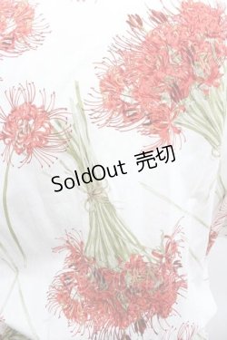 画像3: KANEKO ISAO / 彼岸花半袖ワンピース  アイボリー I-26-01-15-062-EL-OP-SA-ZI