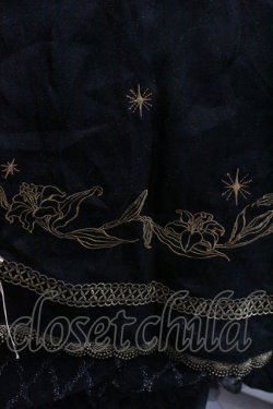 画像4: Hoshibako Works / 百合の乙女刺繍ワンピース  黒 I-26-01-24-046-LO-OP-AS-ZI