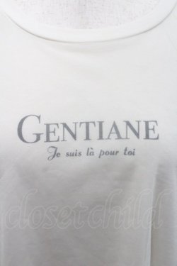 画像3: axes femme / チュール重ねボリューム袖プルオーバー  アイボリー I-26-01-29-009-AX-TO-SA-ZI