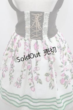 画像3: Blue rouge / サス付きスカート  ブラウン×オフ I-26-01-29-095-CA-SK-TE-ZI