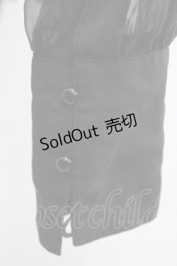 画像5: alice auaa / シースルーブラウス  黒 I-26-01-31-013-AA-BL-SA-ZI