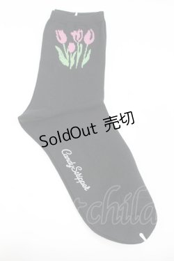 画像1: Candy Stripper / チューリップソックス  黒Ｘピンク I-26-02-01-120-PU-ZA-SA-ZI