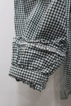 画像2: PINK HOUSE / ギンガムチェックピコフリルフードブラウス  グリーンＸ白チェック I-26-02-06-010-LO-BL-SA-ZI