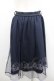 画像3: axes femme POETIQUE / マリン裾刺繍スカート  ネイビー I-26-02-08-110-AX-SK-SA-ZI (3)
