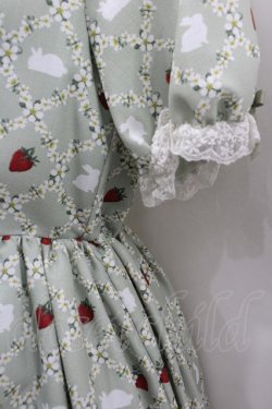 画像2: axes femme kawaii / ベリーフィールズワンピース M ミント I-26-02-13-087-AX-OP-TE-ZI