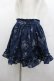 画像1: Ank Rouge / 星座柄スカート  ネイビー I-26-02-13-109-CA-SK-SA-ZI (1)