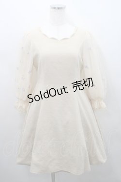 画像1: LODISPOTTO / フラワー刺繍チュール袖ワンピース  ベージュ I-26-02-15-057-LO-OP-SA-ZI