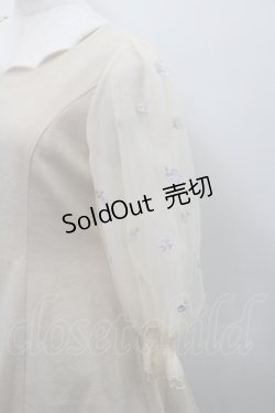 画像3: LODISPOTTO / フラワー刺繍チュール袖ワンピース  ベージュ I-26-02-15-057-LO-OP-SA-ZI