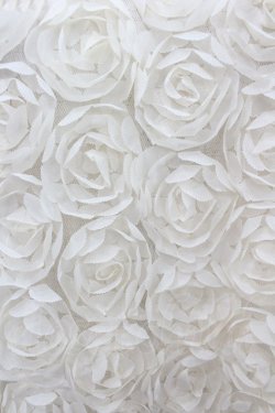 画像2: axes femme POETIQUE / フラワータンク M キナリ I-26-02-18-003-AX-TO-SA-ZI