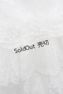 画像3: MR corset / レースロングスカート  白 I-26-02-20-067-PU-SK-SA-ZI
