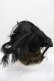 画像3: GOTHPUNKその他(買取対象外) / 羽根薔薇モチーフハット  黒 I-26-02-20-109-GO-AC-SA-ZI (3)