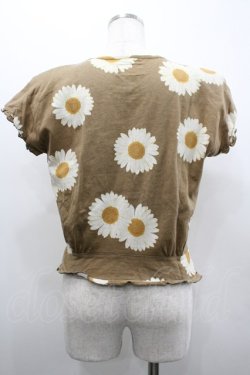 画像2: PINK HOUSE / 雛菊プリントカーディガン  ブラウンＸ白 I-26-02-20-024-LO-TO-SA-ZI