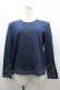 画像1: INGEBORG / ピンタックデニムブラウス  青デニム I-26-02-28-058-LO-BL-SA-ZI (1)