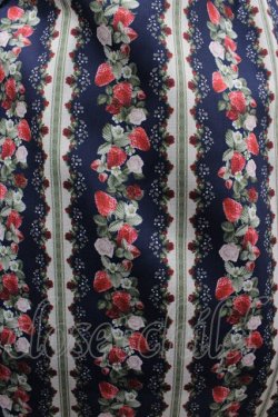 画像3: axes femme kawaii / ローズベリーガーデンジャンパースカート  紺 I-26-03-02-034-AX-OP-SA-ZI