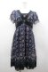 画像1: axes femme / バラオーナメントフレームワンピース M 紺 I-26-03-02-065-AX-OP-TE-ZI (1)