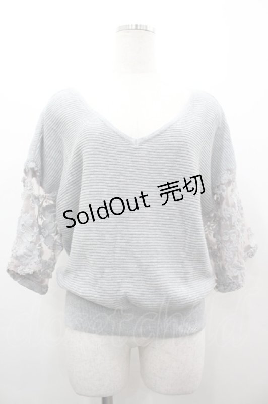 画像1: axes femme / 袖シースルー刺繍ニット M グレー I-26-03-02-011-AX-TO-TE-ZI (1)