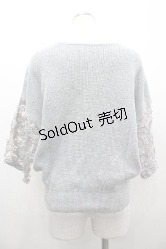 画像2: axes femme / 袖シースルー刺繍ニット M グレー I-26-03-02-011-AX-TO-TE-ZI (2)