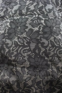 画像3: axes femme / ハイネックレースジャケット  黒Ｘベージュ I-26-03-02-026-AX-JA-SA-ZI