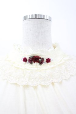 画像2: axes femme / ガーデンタートル M キナリ I-26-03-04-046-AX-TO-TE-ZI