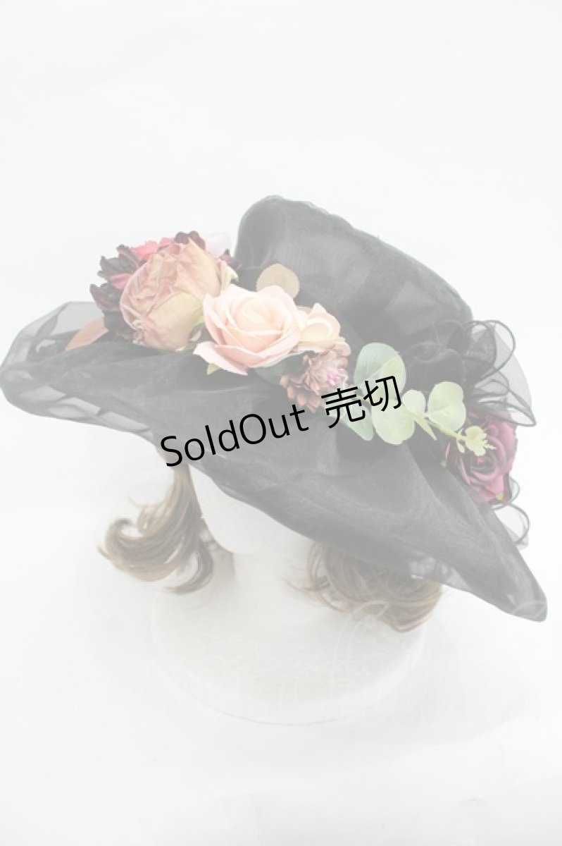 画像1: LOLITAその他(お買取対象外) / ローズモチーフシースルーハット  黒 I-26-03-05-089-LO-AC-SA-ZTK033 (1)