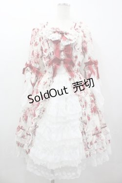 画像1: BABY,THE STARS SHINE BRIGHT / シュガーブーケ柄ロココワンピースドレス  白 I-26-03-05-112-BA-OP-SA-ZI