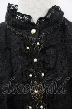 画像2: axes femme / 総レースブラウス  黒 I-26-03-06-010-AX-BL-SA-ZI