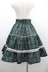 画像2: Eri Aino's collaboration / シャーロットの水曜日スカート L グリーンチェック I-26-03-10-075-PU-SK-SA-ZI (2)