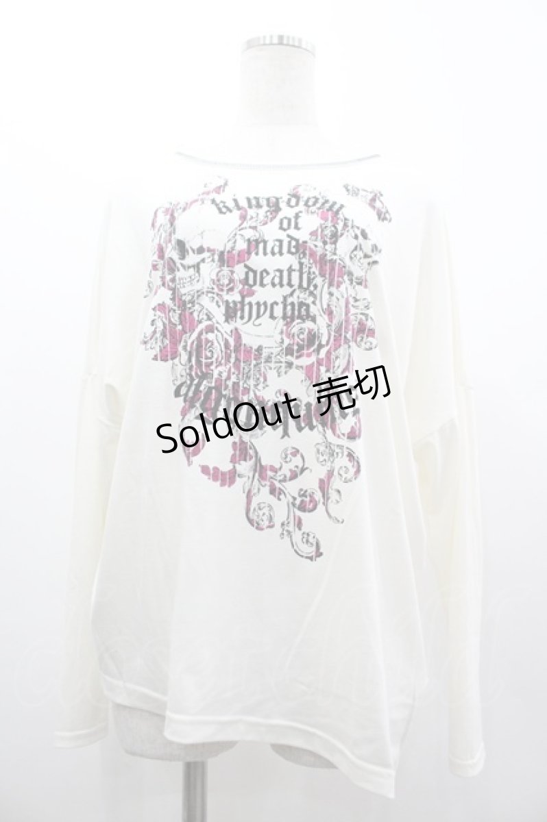 画像1: ALGONQUINS / スカル×ローズカットソー F オフ I-26-03-14-046-AL-TO-TE-ZI (1)