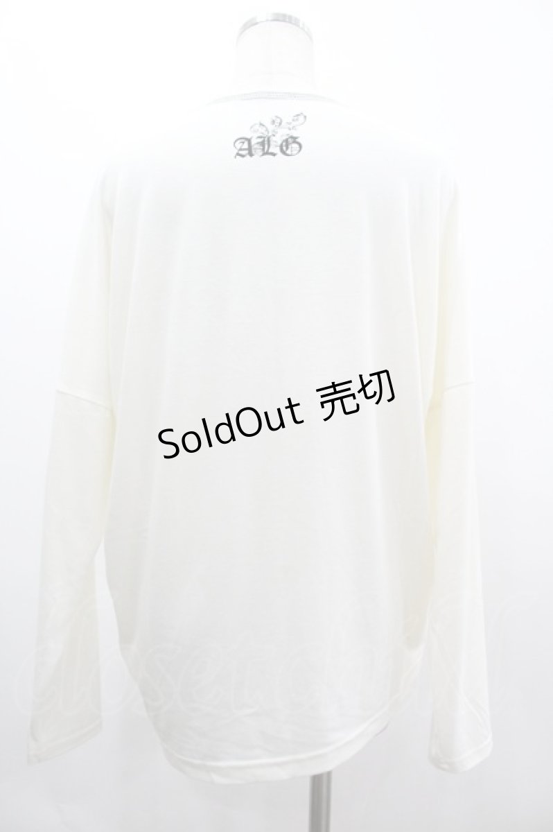 画像2: ALGONQUINS / スカル×ローズカットソー F オフ I-26-03-14-046-AL-TO-TE-ZI (2)