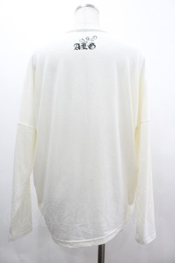 画像2: ALGONQUINS / スカル×ローズカットソー F オフ I-26-03-14-046-AL-TO-TE-ZI