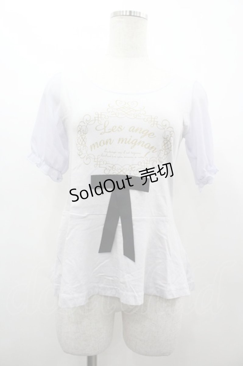 画像1: Fi.n.t / 袖シフォンプリントTシャツ F ブルーグレー I-26-03-14-012-CA-TS-TE-ZI (1)