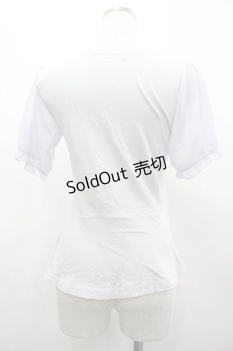 画像2: Fi.n.t / 袖シフォンプリントTシャツ F ブルーグレー I-26-03-14-012-CA-TS-TE-ZI (2)