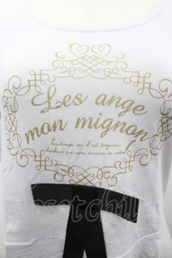 画像3: Fi.n.t / 袖シフォンプリントTシャツ F ブルーグレー I-26-03-14-012-CA-TS-TE-ZI