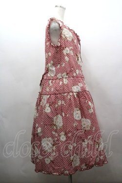 画像4: PINK HOUSE / 野ばらギンガムプリントノースリーブワンピース  赤チェックＸ白 I-26-03-16-098-LO-OP-SA-ZI