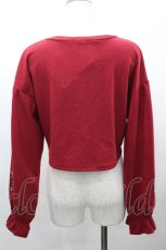 画像5: axes femme / ストロベリー刺繍ボレロ  赤 I-26-03-16-020-AX-TO-SA-ZI (5)