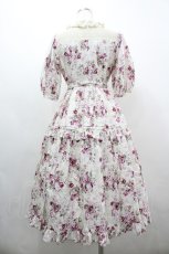画像2: Victorian maiden / ロココブーケレーシードールドレス  白ｘピンク I-26-03-19-051-CL-OP-SA-ZI (2)
