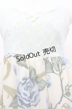 画像3: MILK / ロージーローズBaby doll  ウォーターローズ I-26-03-19-073-ML-OP-SA-ZI