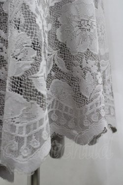 画像4: axes femme / レースサーキュラースカート F グレー I-26-03-30-063-AX-SK-TE-ZI